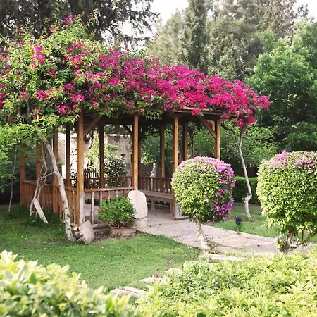Hotel Mehmet Ali Aga Konagi - Kocaev Datca